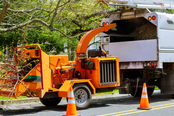 Best Fruit Tree Pruning  in Falls Creek, PA